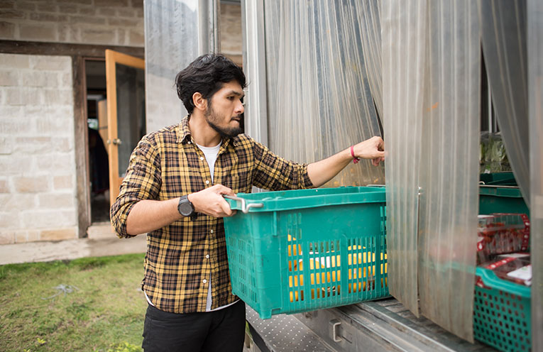 Kıbrıs Frigofrig Taşıma